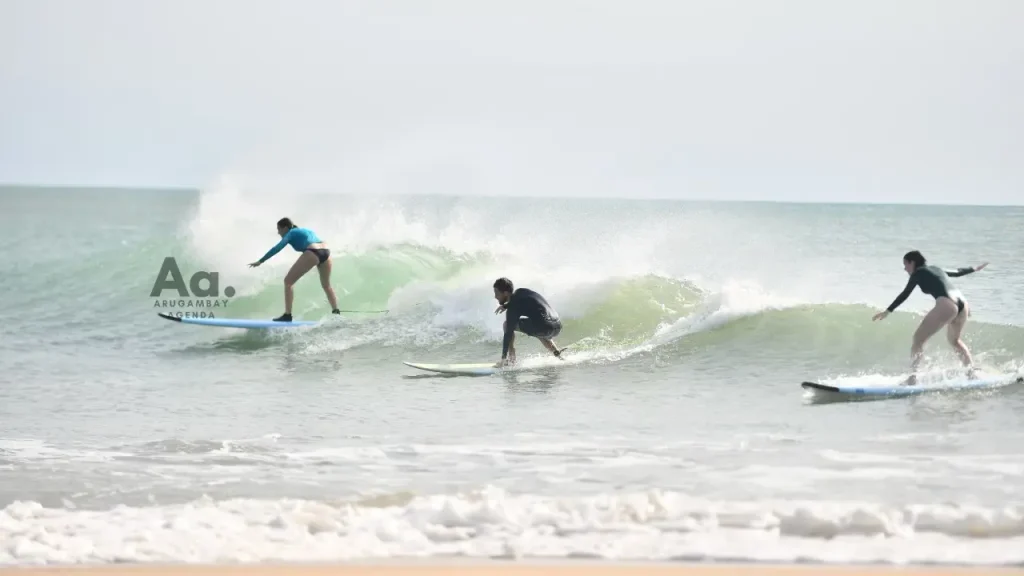 Surf Lessons in Arugam Bay: Top Beginner Wave Experience - View 6