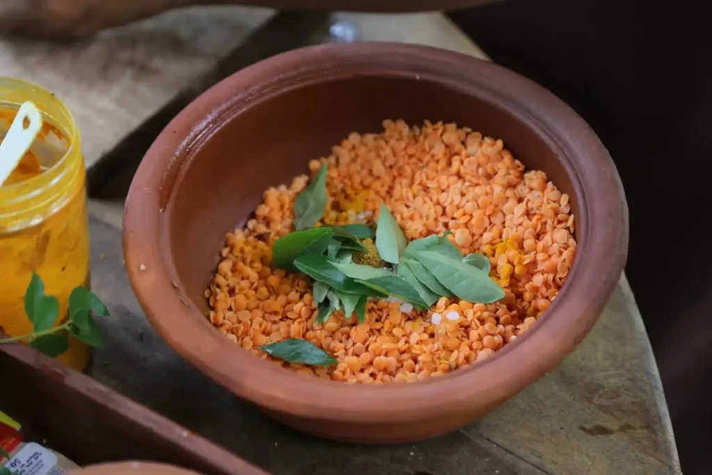 Tuktuk Safari in Arugam Bay: Epic Adventure & Cooking - View 7