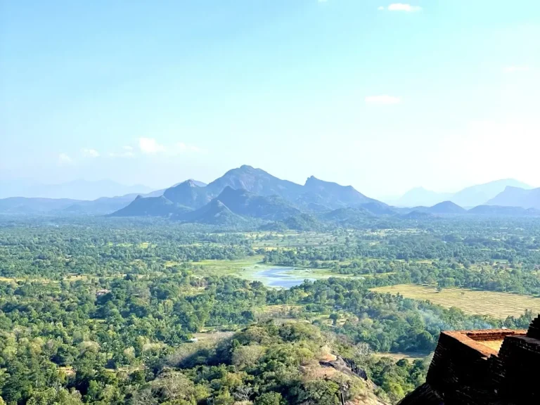 Sigiriya Tour from Arugam Bay: The Lion Rock Adventure - View 3
