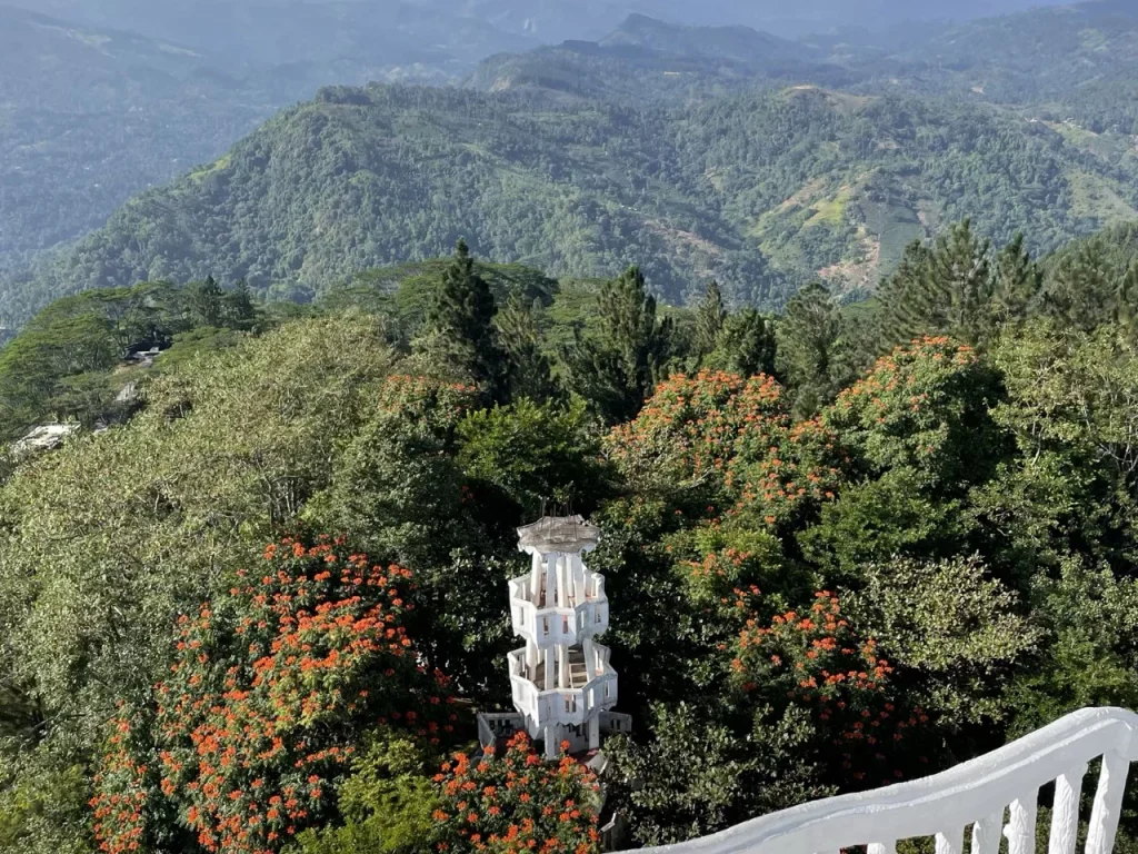 Arugam Bay to Highlands Trip: EPIC 2-Day Escapade - View 5