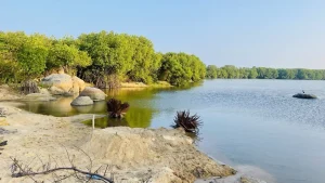 What Are the Best Attractions in Arugam Bay? (22 Must-Visit Spots) 14 Beautiful landscape of Pottuvil point, one of the best Arugam Bay Attractions from Arugambay Agenda's Pottuvil lagoon safari