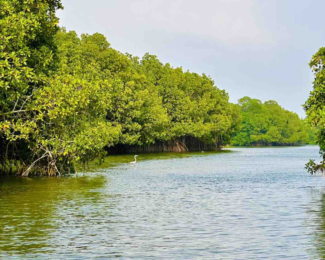 Pottuvil Lagoon Tour with Temple Visit - View 7