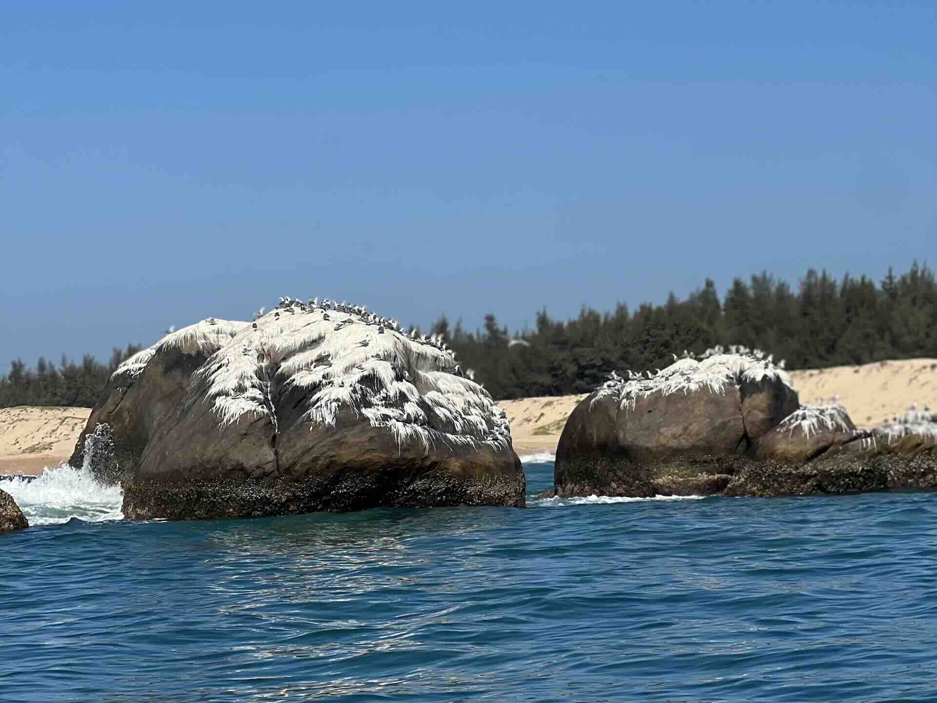 Sea Boat Safari In Arugam Bay: A Hidden Ocean Escape - View 8